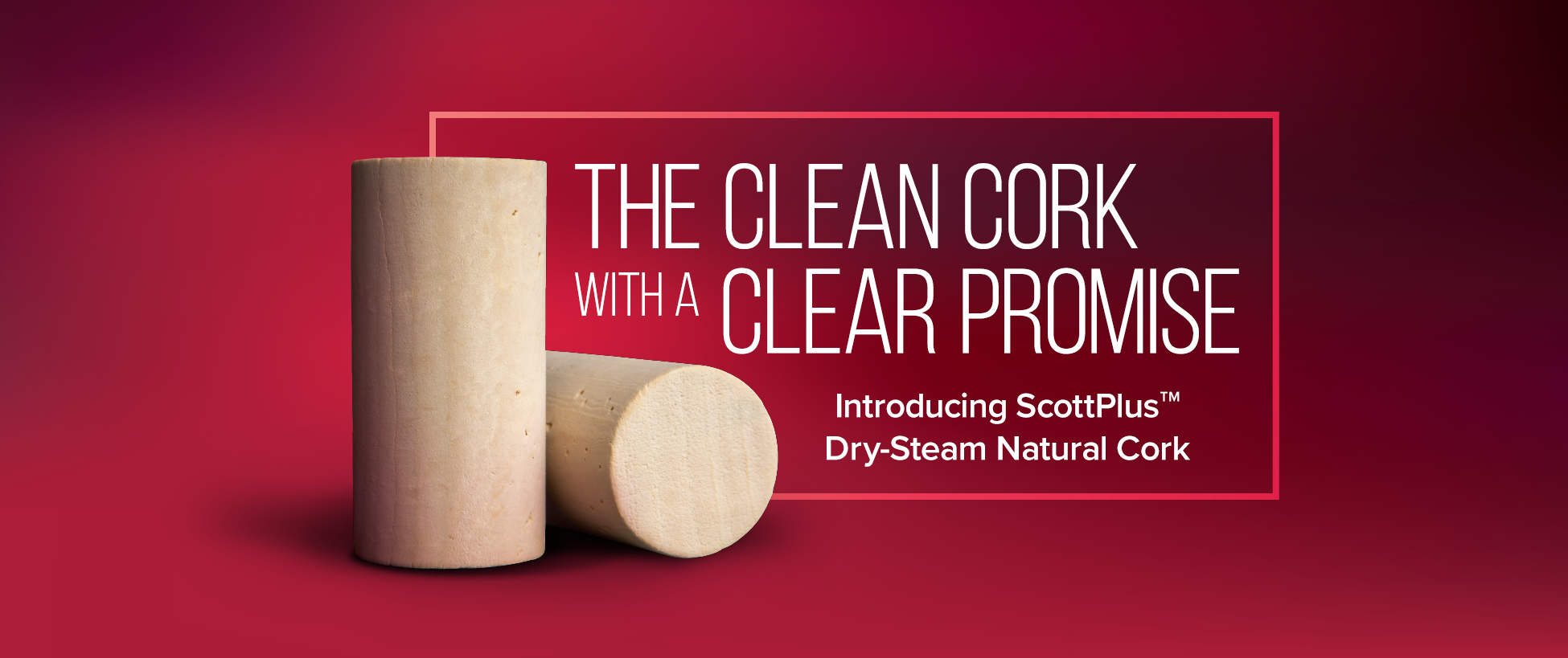 Scott Plus Cork: A Clean Cork with a Clear Promise