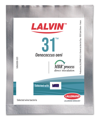 LALVIN 31 Malolactic Bacteria